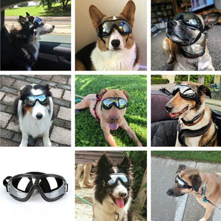 PoochShades Reflective Dog Goggles