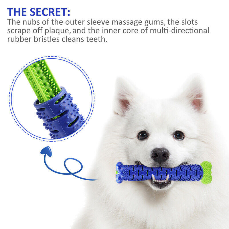 Ultimate Dental Chew Toy for Dogs