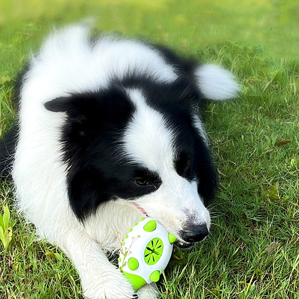 Hedgehog Chew Toy and Treat Dispenser