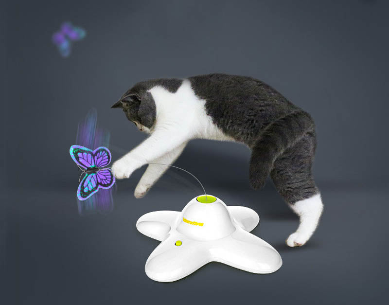 Cat Butterfly Trainer