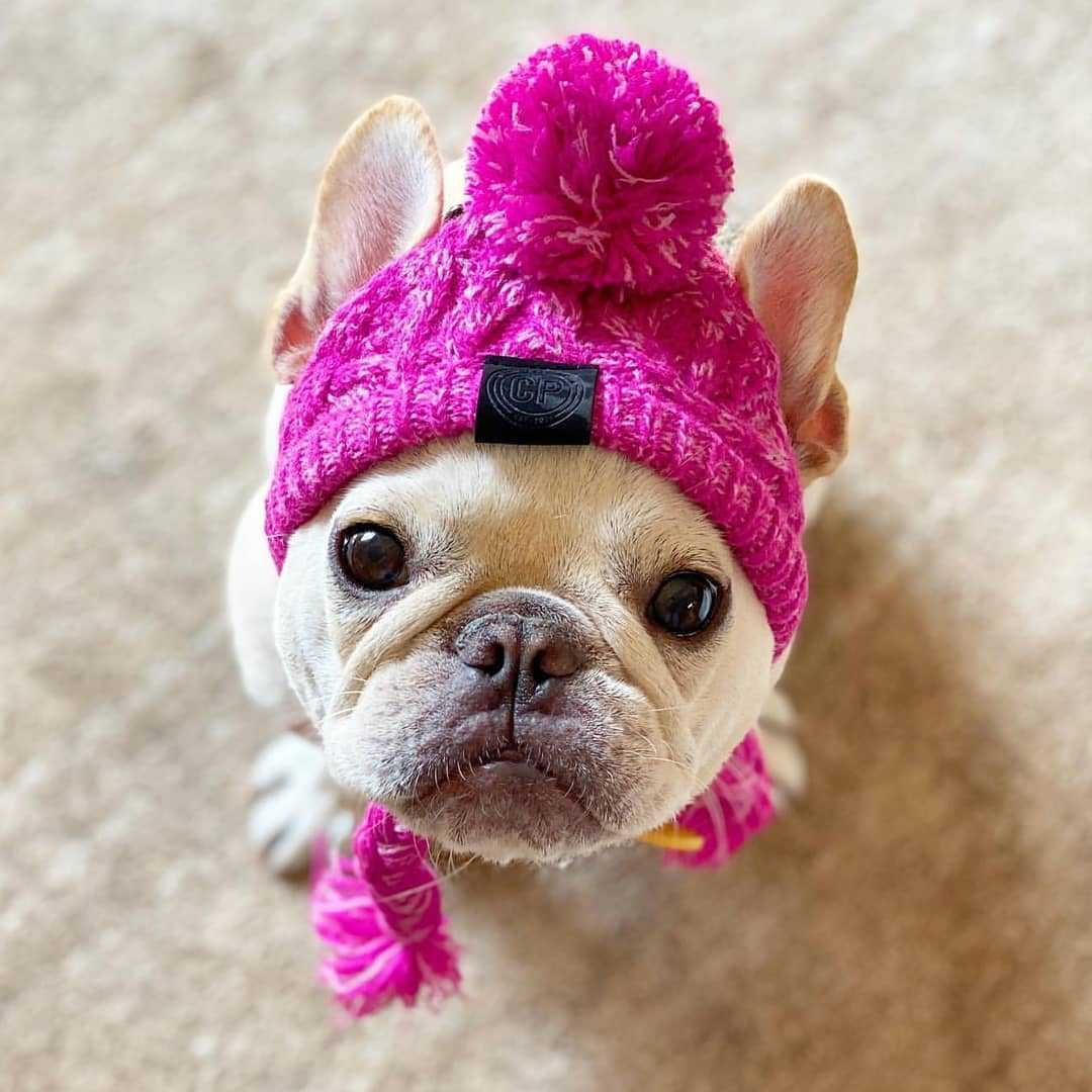 Cuddly Cute Knit Hat