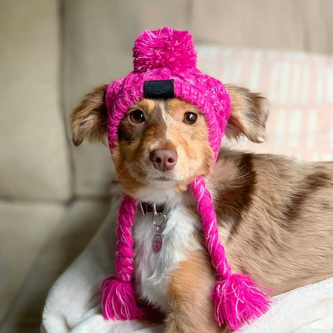 Cuddly Cute Knit Hat