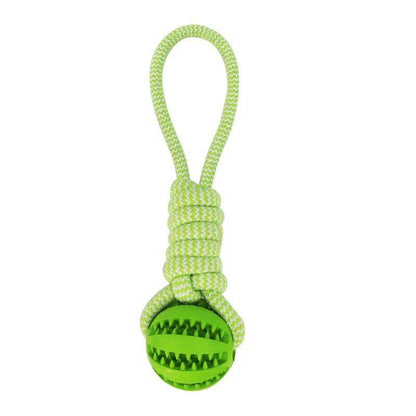 Ultimate Tug & Fetch Dog Toy