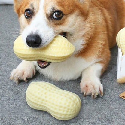 Peanut Squeaky Chew Toy