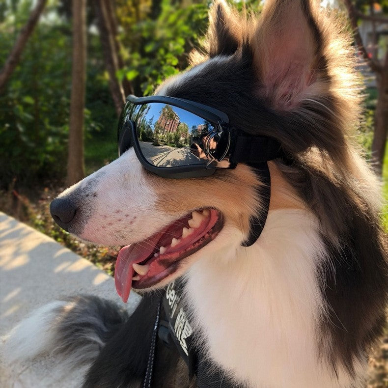 PoochShades Reflective Dog Goggles