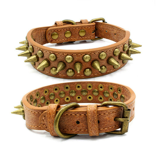 Stylish Studded Dog Collar